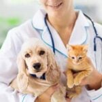 10 Essential Pet Care Tips Every New Pet Owner Should Know